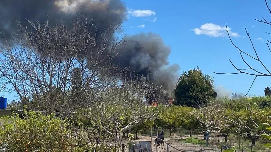 Nuevo incendio en una zona de marjal de Sagunt