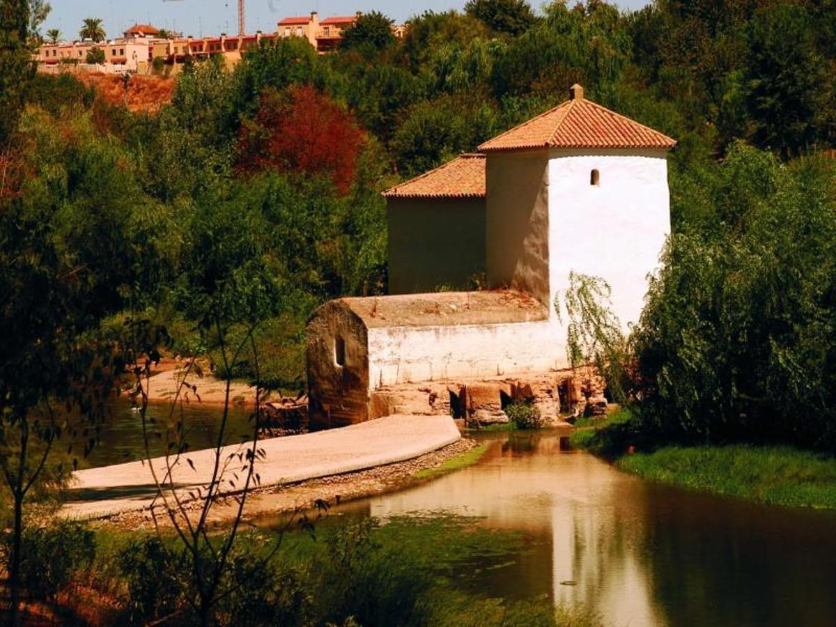 Ruta de los Molinos de Alcalá de Guadaíra, el sendero entre ríos perfecto para visitar en familia