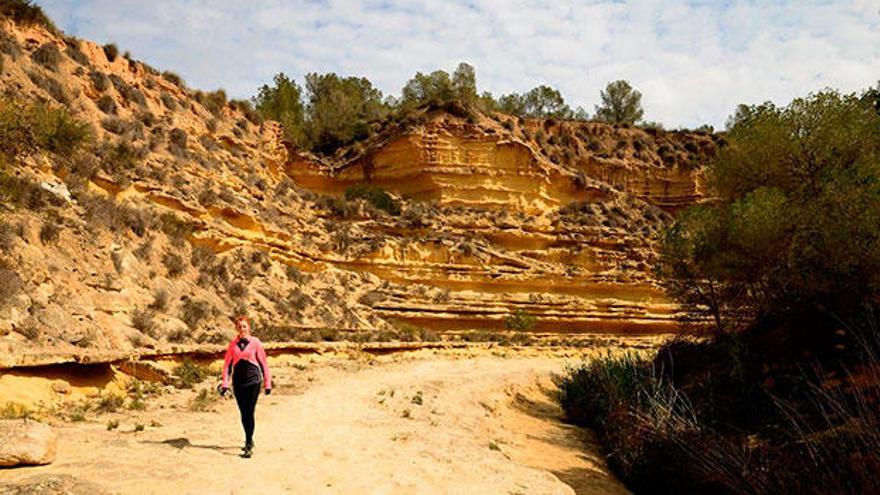 Deporte, fiestas, cultura, gastronomía y naturaleza en Pilar de la Horadada.