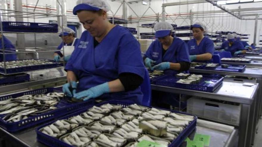 Trabajadoras de una conservera de O Morrazo, enlatando pescado.  //  Carnmen Giménez