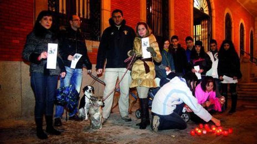 Protesta por la tortura a un cachorro de perro