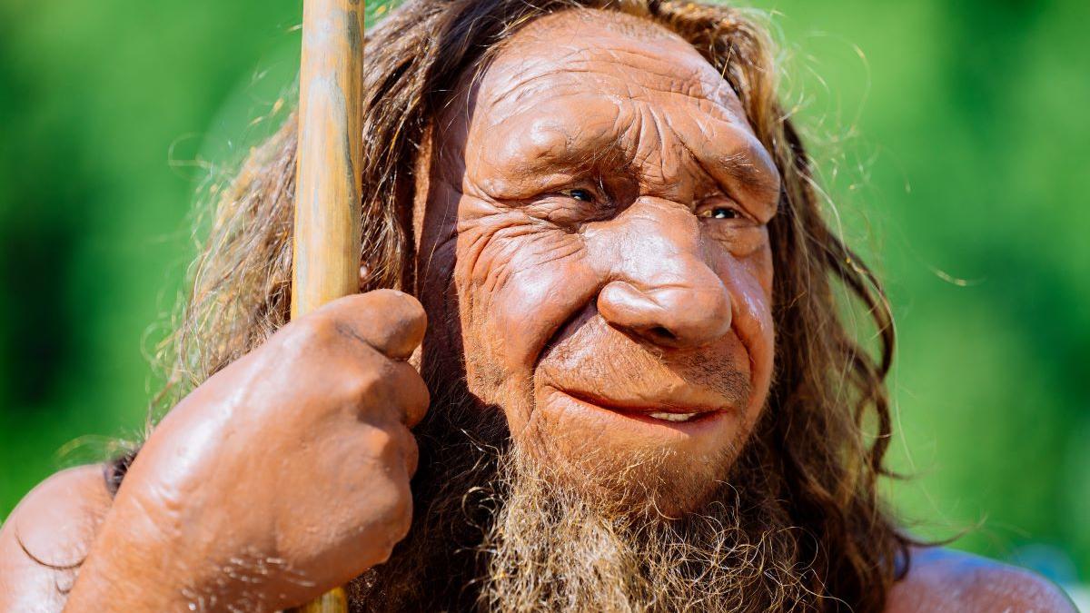 Primer plano de la reconstrucción de un neandertal.