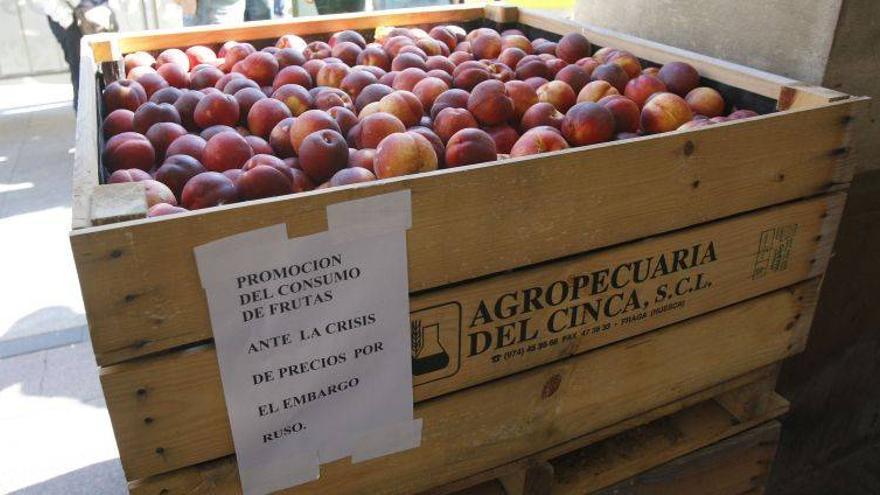 La CE adopta la ayuda de 125 millones para la retirada de verduras y frutas
