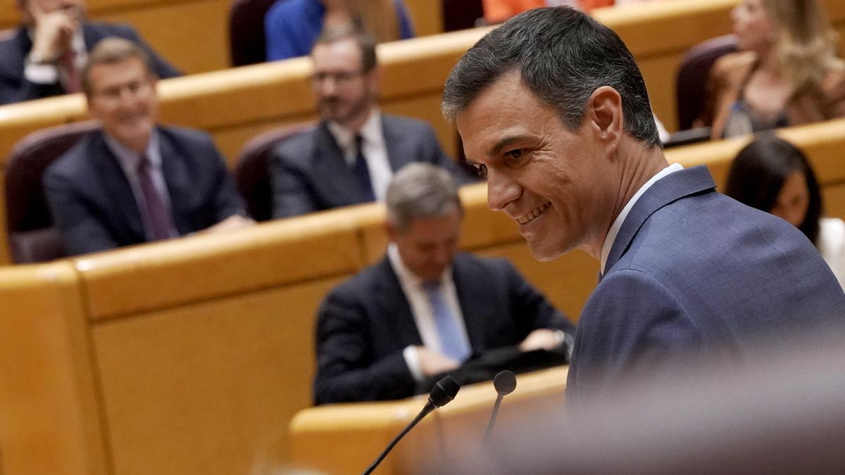 Cara a cara en el Senado de Pedro Sánchez, presidente del Gobierno y Alberto Núñez Feijóo, Partido Popular.