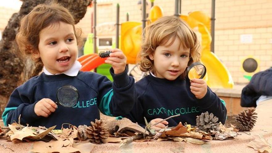 Educación al aire libre