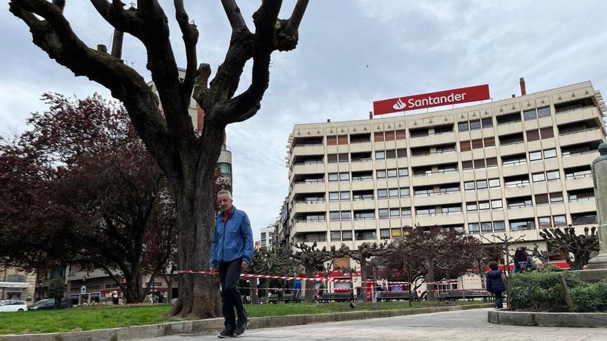 Un viandante, ante parte de la zona verde de la plazuela de San Miguel ya acordonada dentro de los trabajos de plantación de nuevo arbolado.