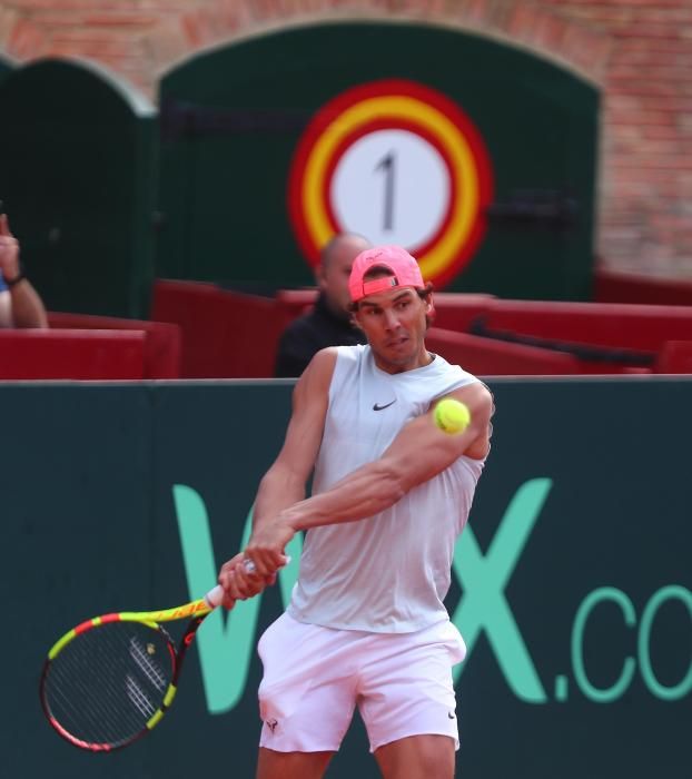 Rafa Nadal y David Ferrer entrenan en Valencia