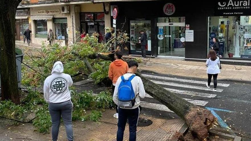 Fotogalería | Así afecta el temporal de lluvia y viento en Cáceres
