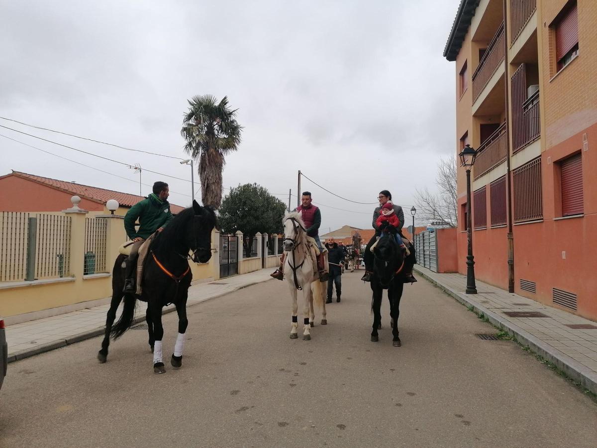 GALERÍA | San Antón procesiona por primera vez en Toro