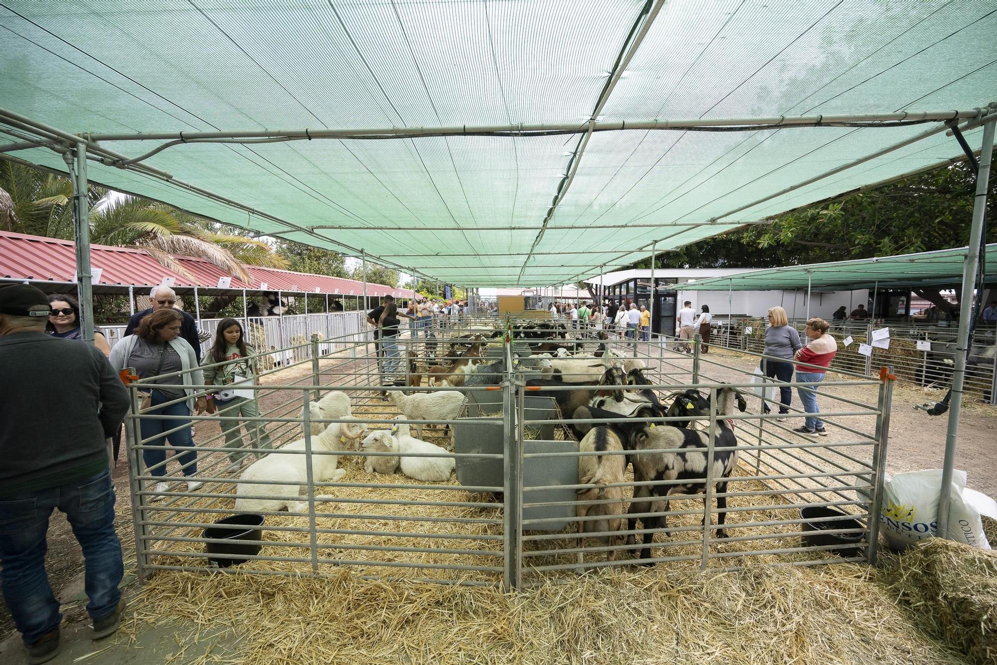 XXXII Edición del Concurso y Exposición de Ganado Selecto