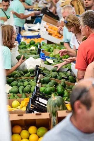 II Feria del Aguacate en Arguineguín