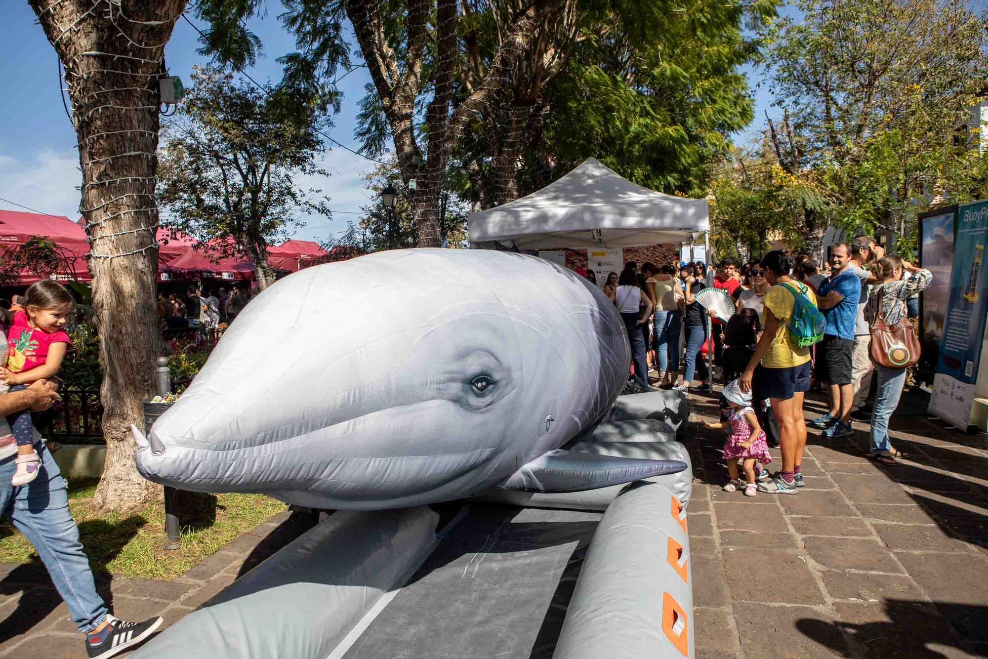Feria de la Ciencia de La Orotava