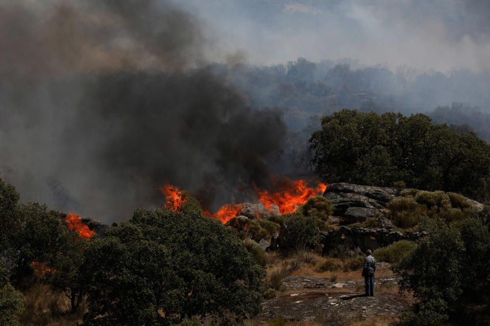 Incendio Pino del Oro y Castro de Alcañices