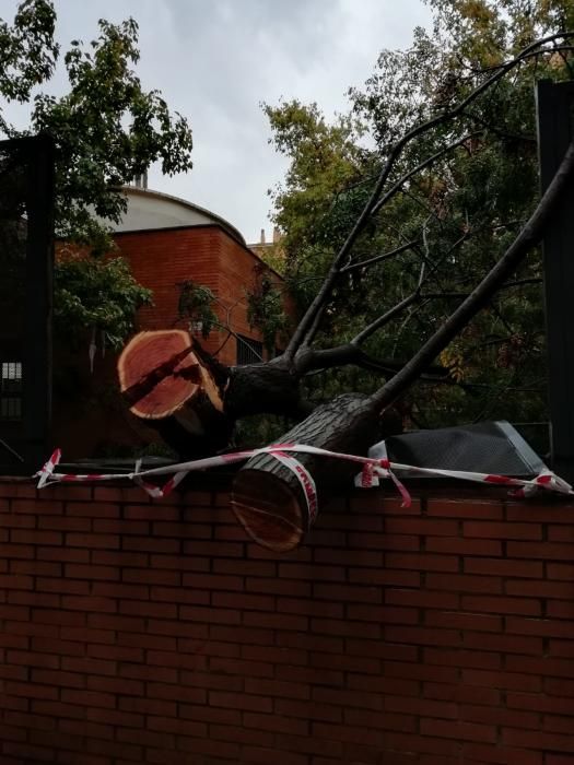 Desperfectos del temporal en el barrio de San Isidro en València.