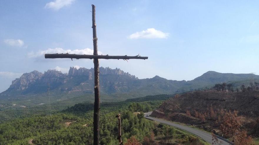 Dos dels arbres cremats que formen part de la intervenció.