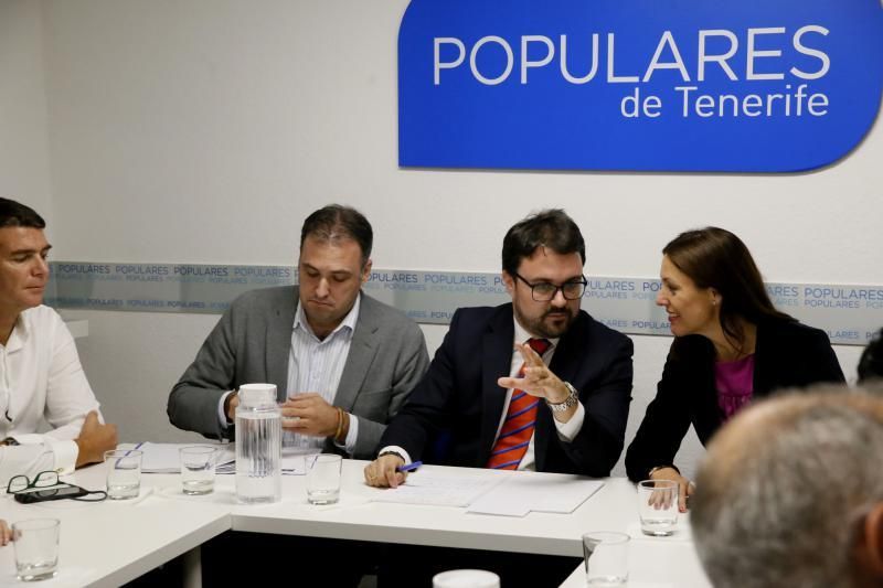 Antona preside la reunión del comité del PP