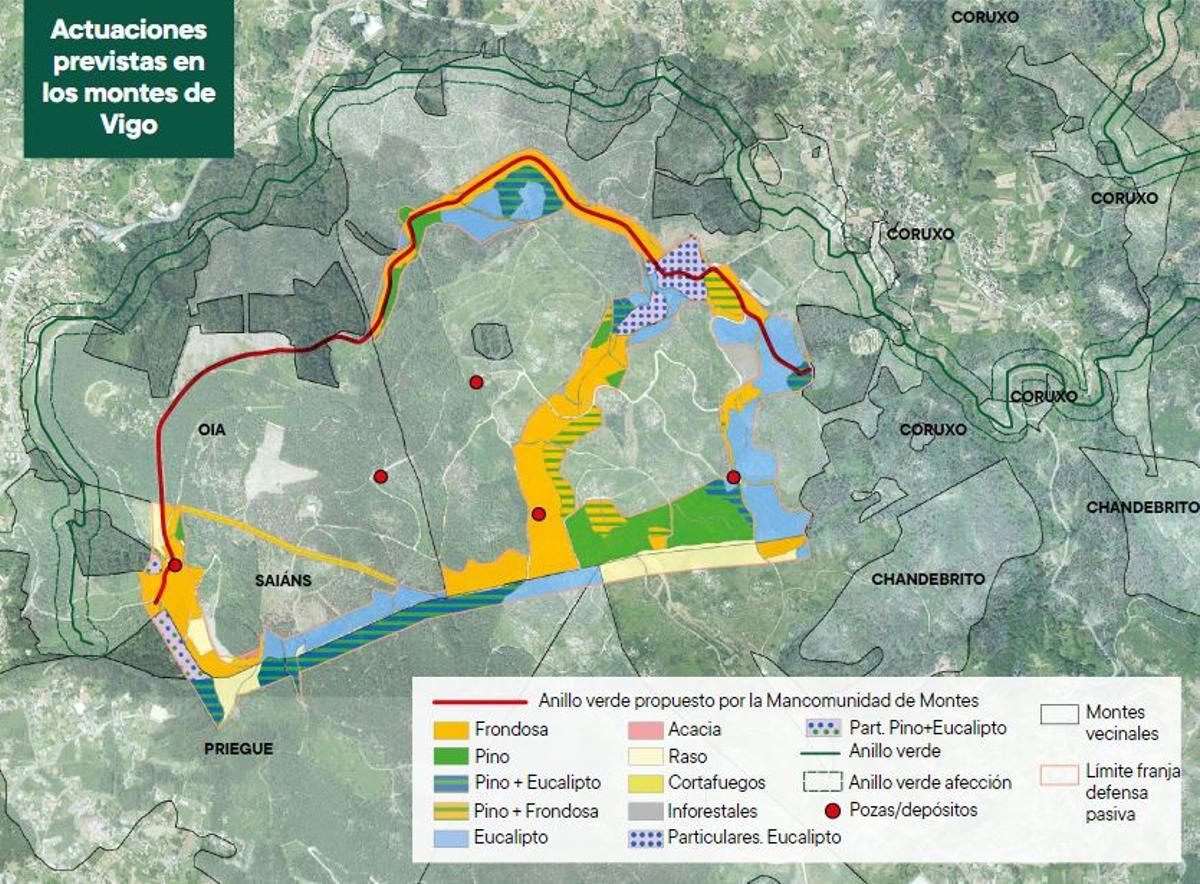 Actuación de los comuneros en los montes de Vigo.