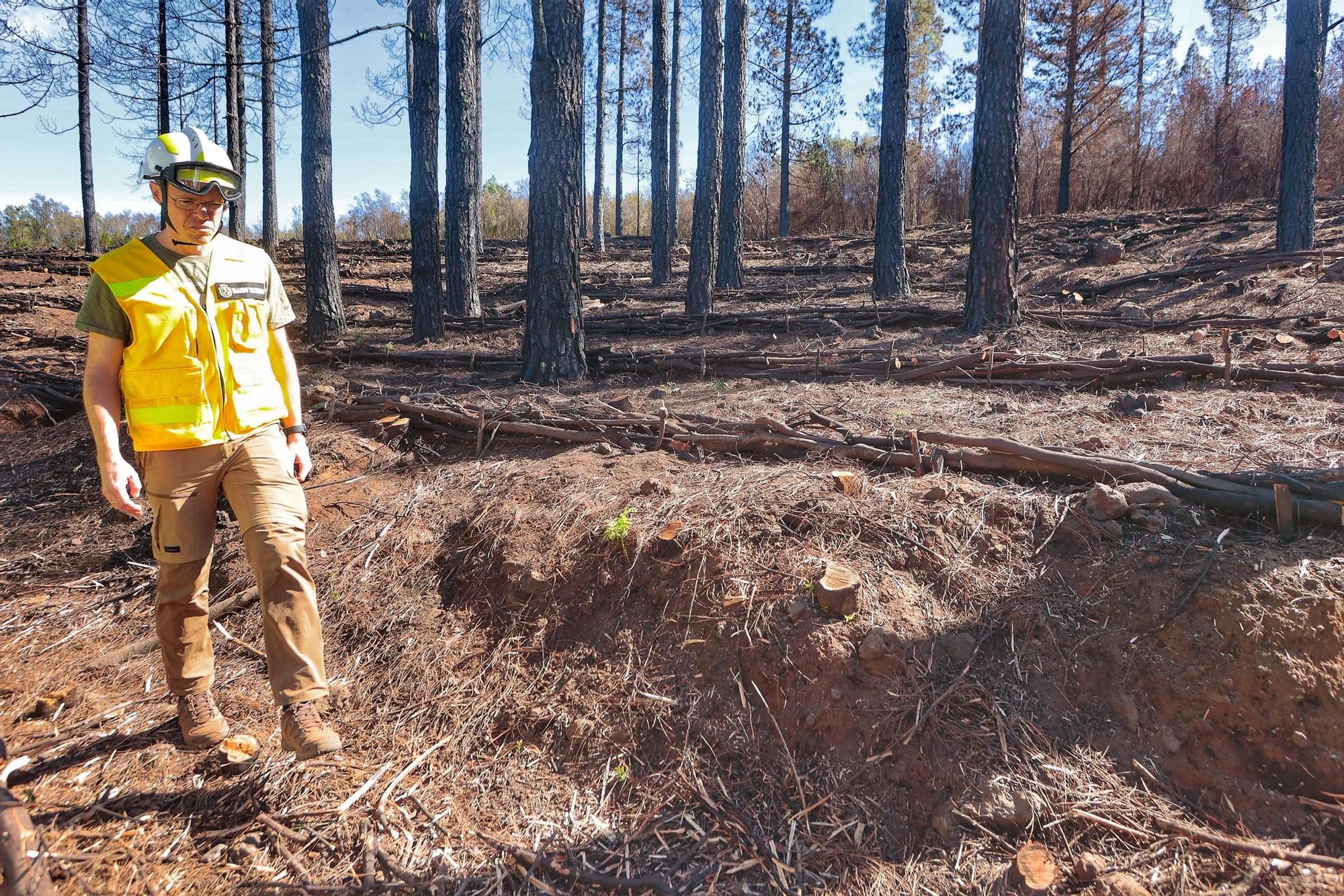 Visita a zonas afectadas por el incendio de agosto en Tenerife