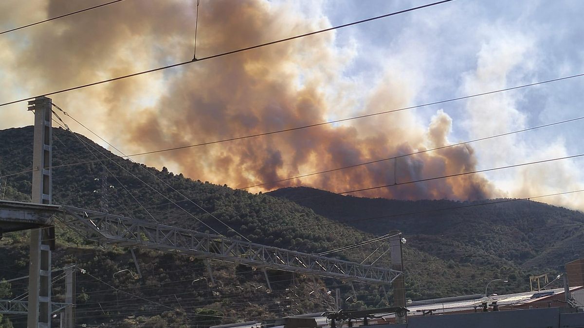 Un incendi crema a Portbou empès per la tramuntana