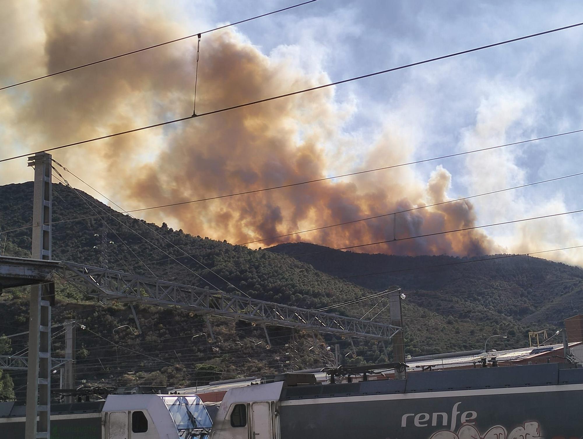 Un incendi crema a Portbou empès per la tramuntana