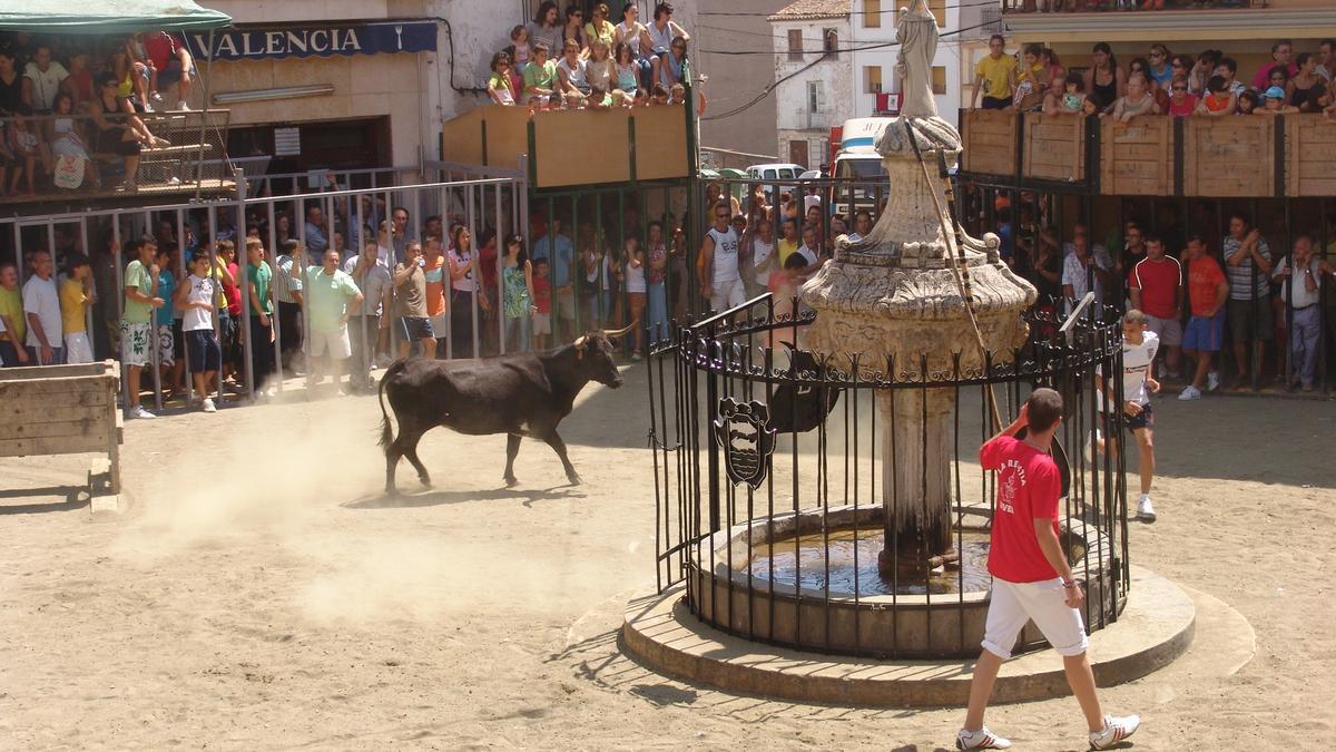 Los actos de San Antón en Viver tendrán un fuerte componente taurino.