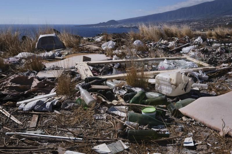 Liberación de una pardela cenicienta recuperada en la campaña de protección 2021