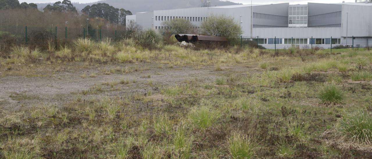 Zona del campus por el que pasará el metrotrén.