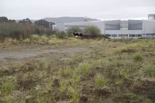 Las estaciones de Universidad y Hospital del metrotrén moverán 20.000 viajeros de tren al día
