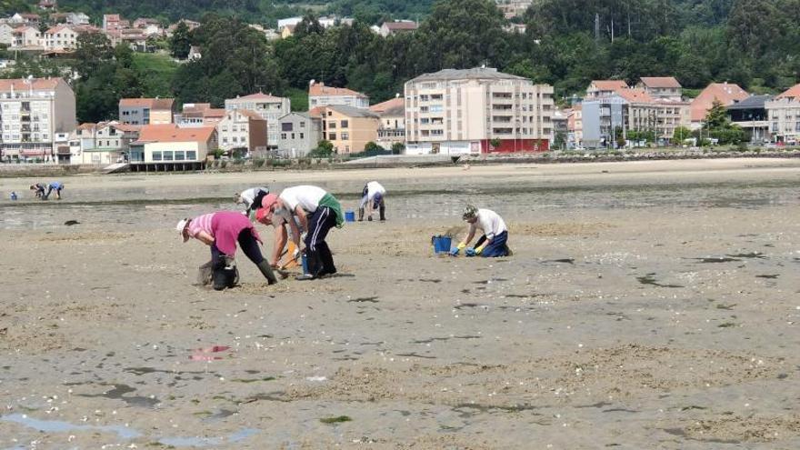 Mariscadoras faenando, este año, en el arenal de A Xunqueira, en Moaña.   | G. NÚÑEZ