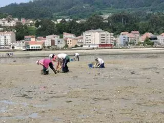 Los furtivos vuelven a Moaña y las mariscadoras se organizan para vigilar sus bancos y salvar la Navidad