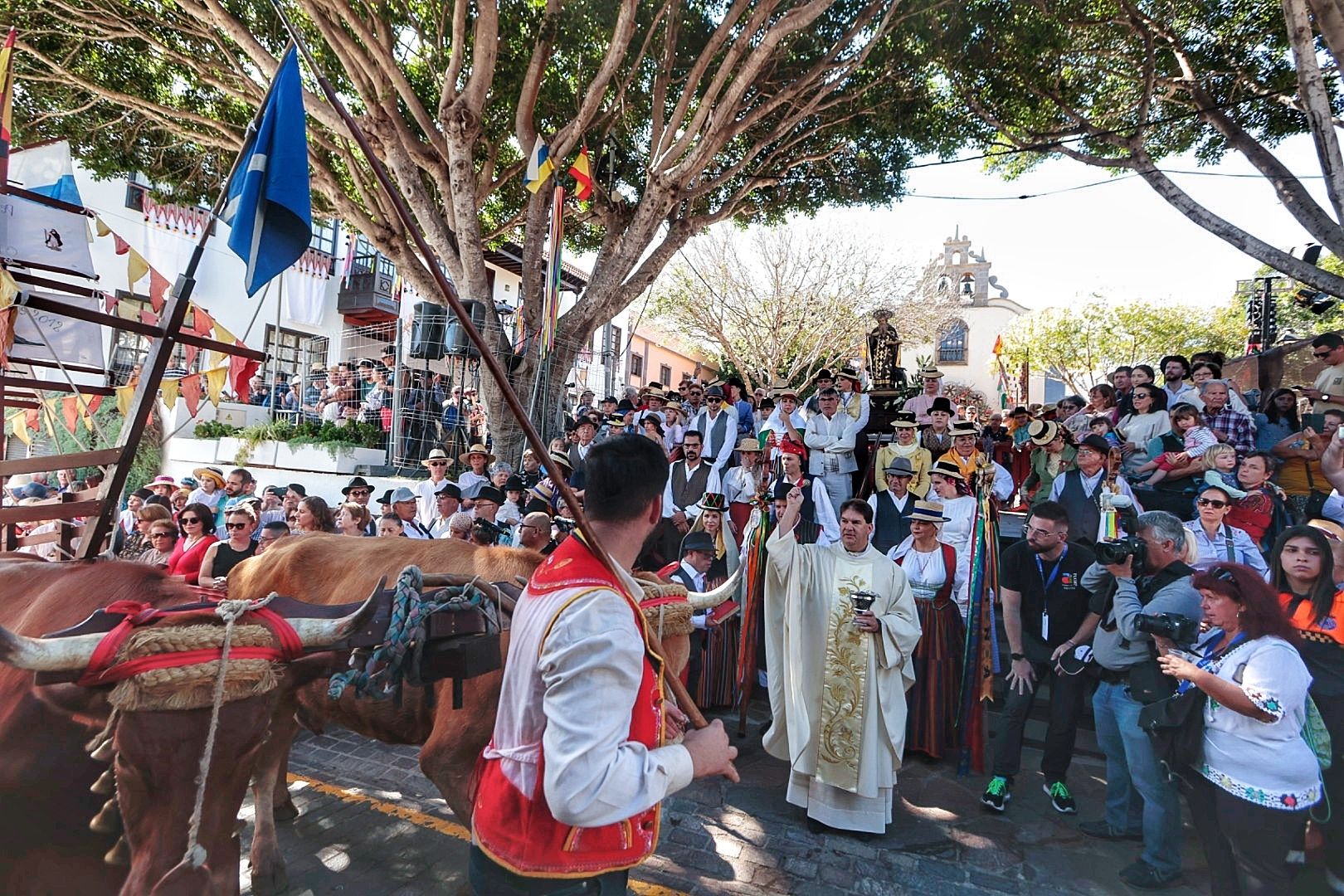 Romería San Antonio Abad en Arona