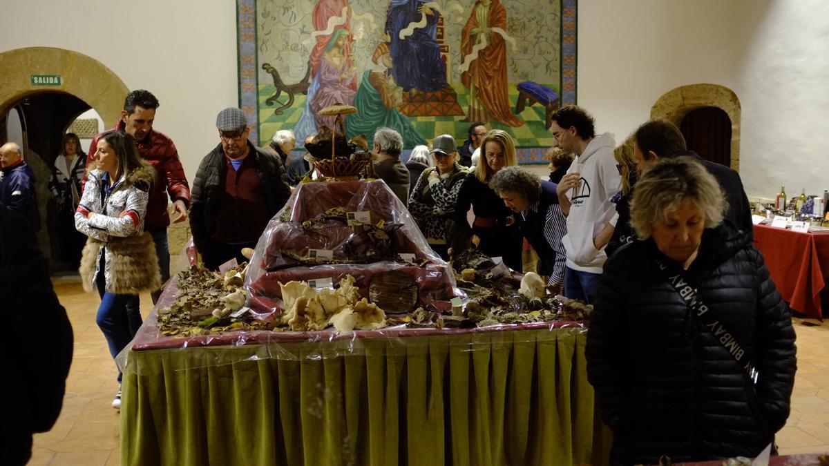 La exposición será visita hoy por la mañana por escolares de los centros docentes locales.