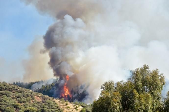 10-08-2019 ARTENARA. Incendio en la cumbre de Gran Canaria  | 10/08/2019 | Fotógrafo: Andrés Cruz