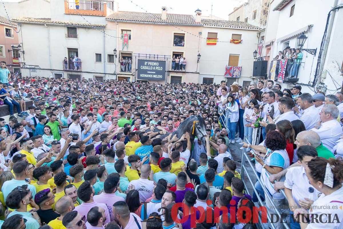 Entrega de premios del concurso morfológico de los Caballos del Vino de Caravaca