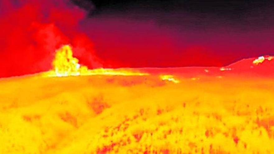 Una llama captada el pasado lunes en la Corona Forestal de Tenerife por una cámara térmica de un dron de la UME. | | E.D.