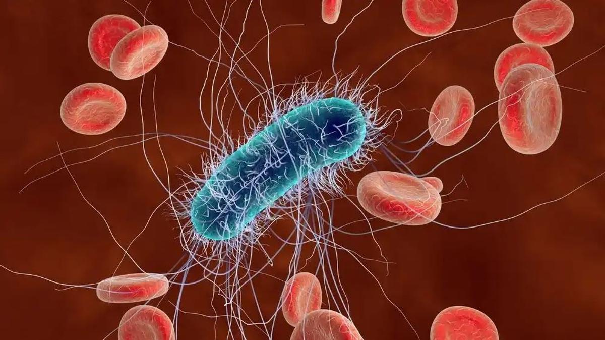 Las pruebas en laboratorio han arrojado resultados inquietantes