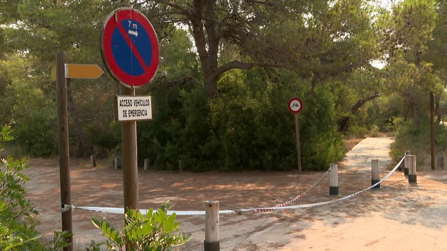 La Generalitat restringe la circulación en l'Albufera por calor extremo