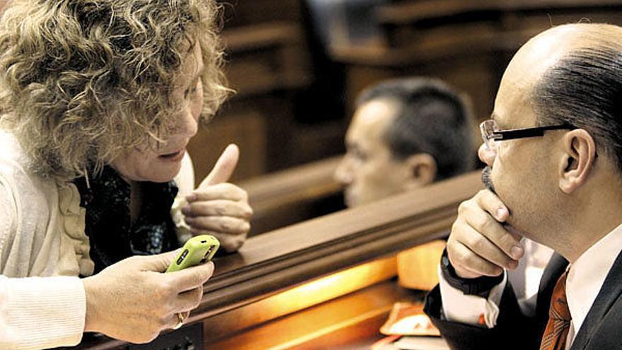 María del Mar Julios habla con José Miguel Barragán en una sesión del Parlamento de Canarias.