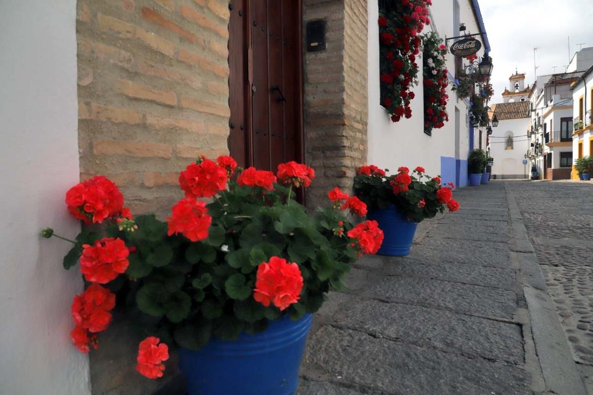 Paseo por el Alcázar Viejo durante la crisis del coronavirus