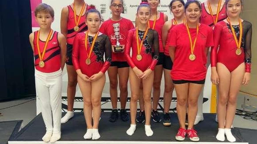 El Club Gimnasia Pabellón logró quince campeones de España