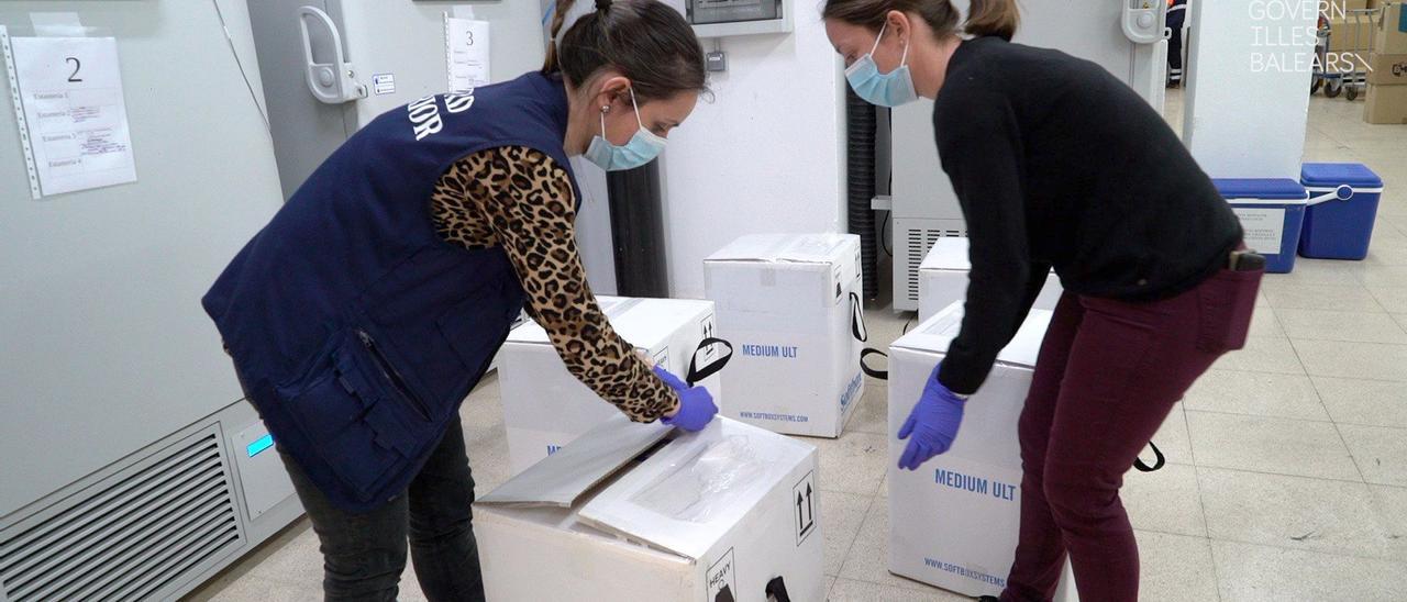Llegan a Mallorca 33.930 nuevas dosis de la vacuna Pfizer