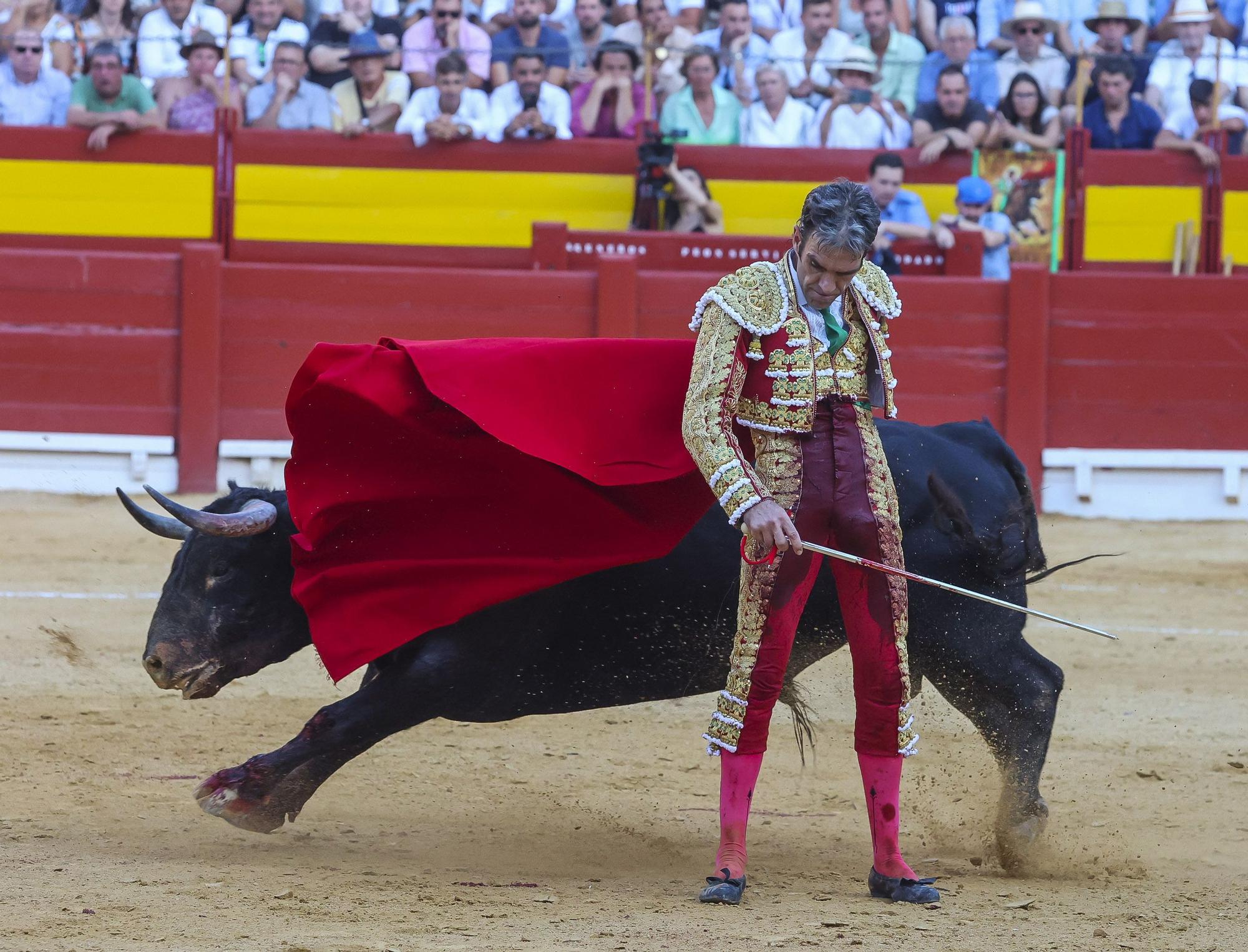 El gran José Tomás revoluciona la plaza de toros de Alicante