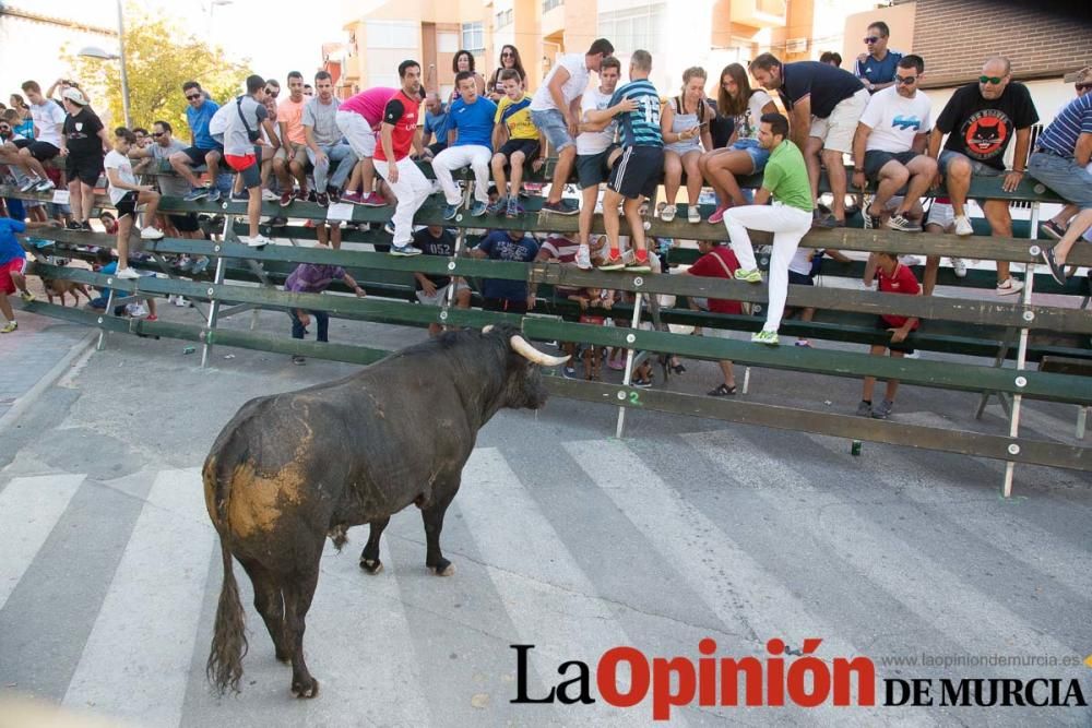 Primer encierro de Calasparra