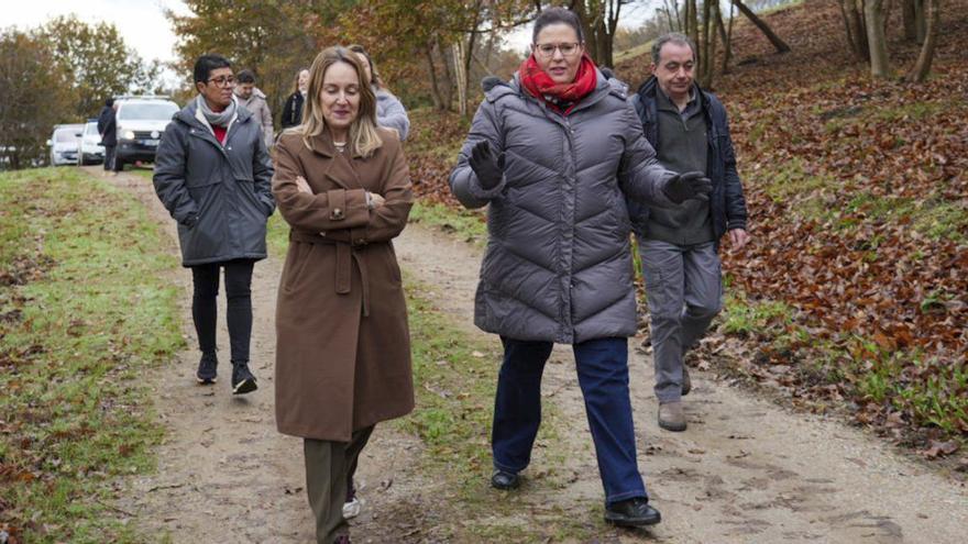 El polígono de Bergondo estrena ‘bosque atlántico’