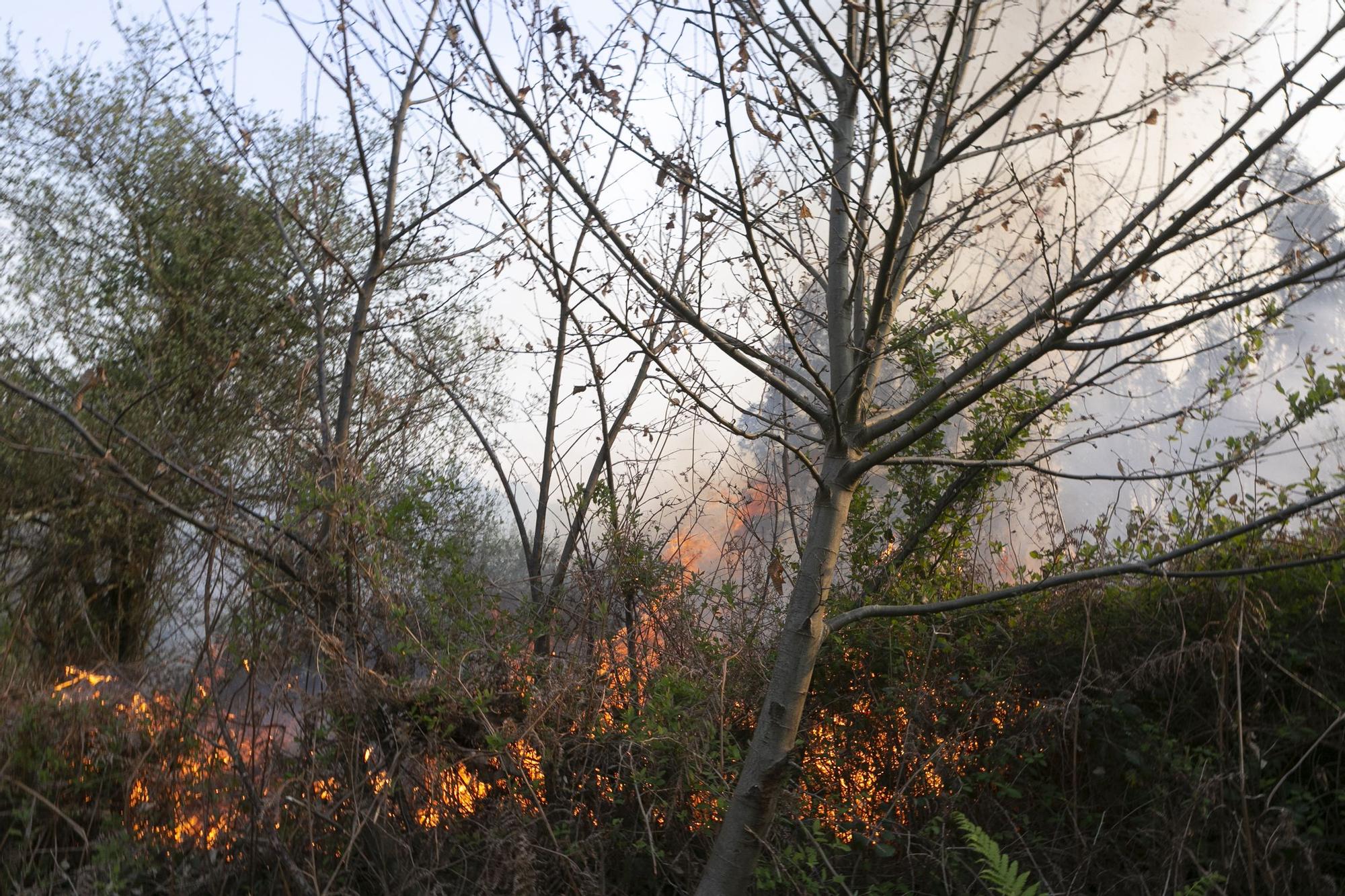 EN IMÁGENES: la extinción del fuego de La Plata (Castrillón), minuto a minuto