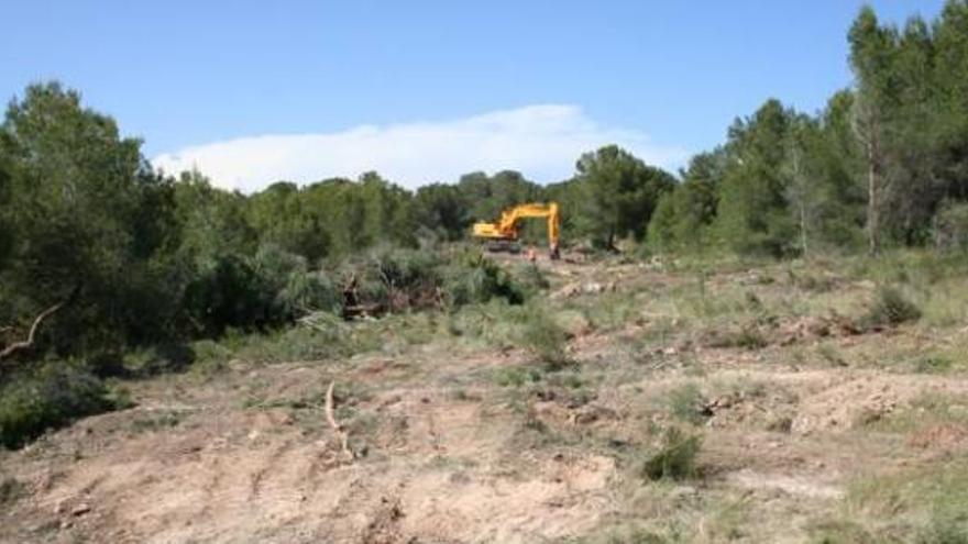 Panorámica de los terrenos donde se iba a construir.