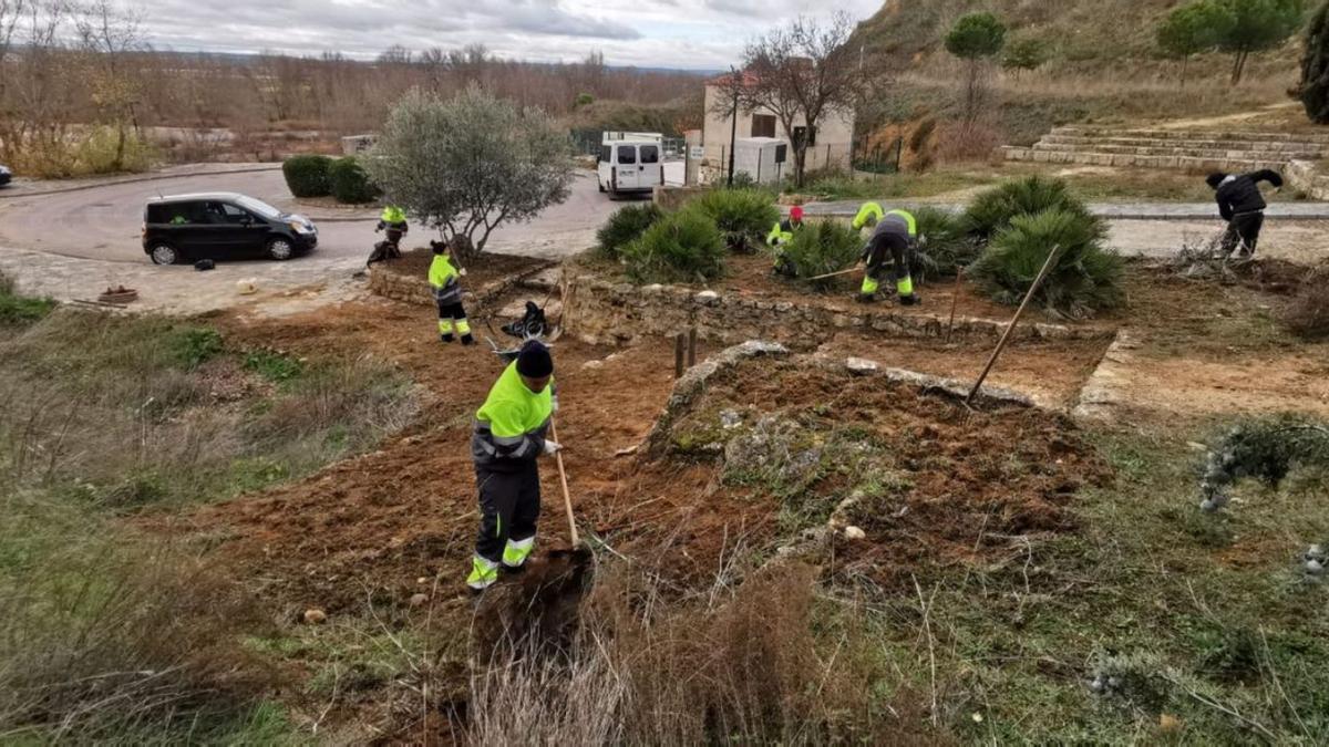 Los participantes en la acción formativa recuperan el tramo del paseo más próximo al entorno del río. | Cedida