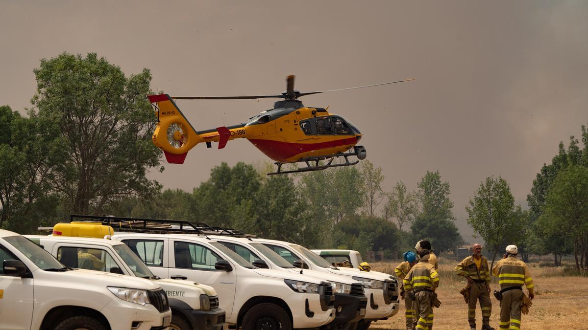 Bomberos forestales durante las labores de extinción del incendio forestal en Losacio.