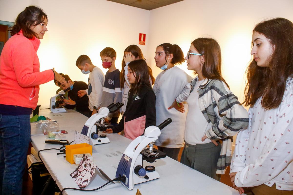 En una de las mesas los estudiantes trabajaron con microscopios.