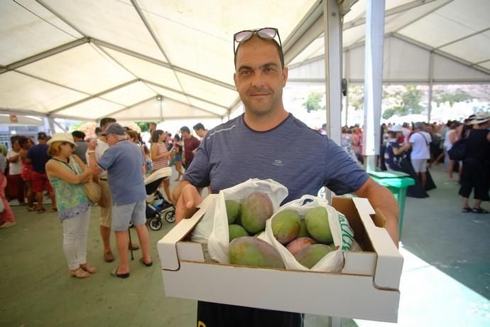 Mogán. Feria del Mango y Aguacate  | 01/09/2019 | Fotógrafo: José Carlos Guerra